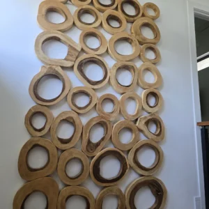 Phillips Collection Chuleta Rings Rectangular Wall Art 1