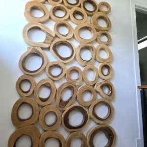 Phillips Collection Chuleta Rings Rectangular Wall Art 3