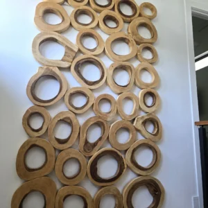 Phillips Collection Chuleta Rings Rectangular Wall Art
